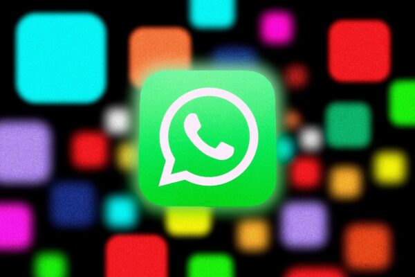 USA WhatsApp Number